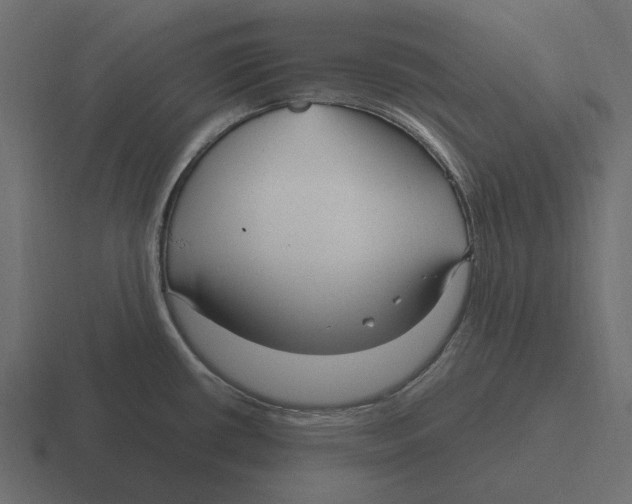 X0000116271434200912291325