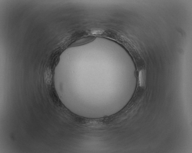 X0000116271443200912291324