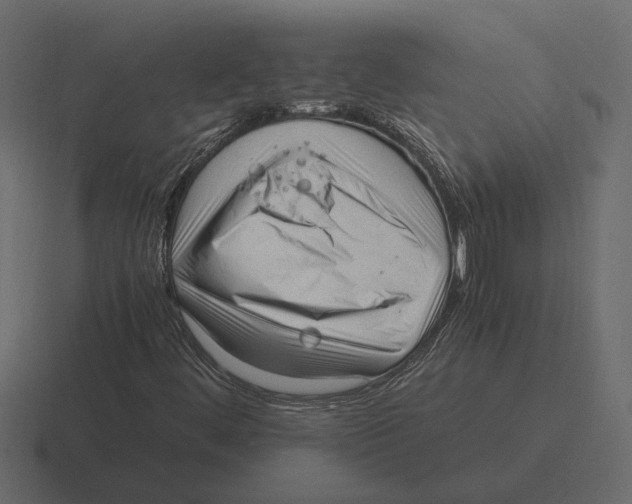 X0000116271444200912291324
