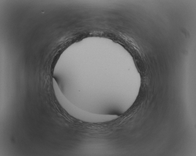 X0000116271445200912291324