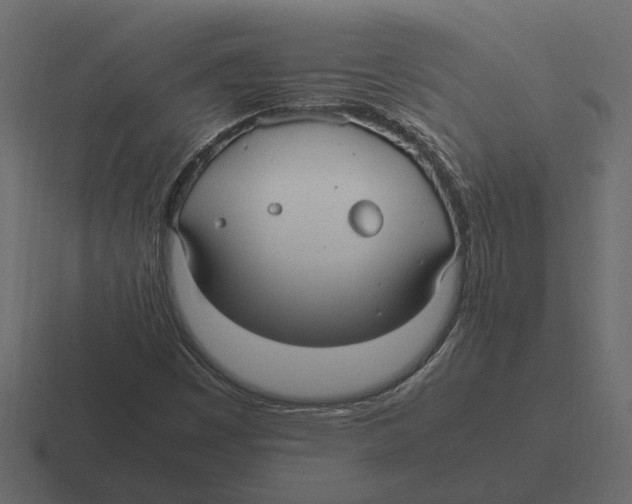 X0000116271449200912291324