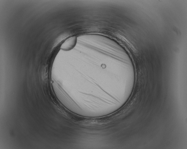 X0000116271450200912291324