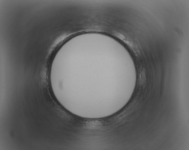 X0000116271454200912291324