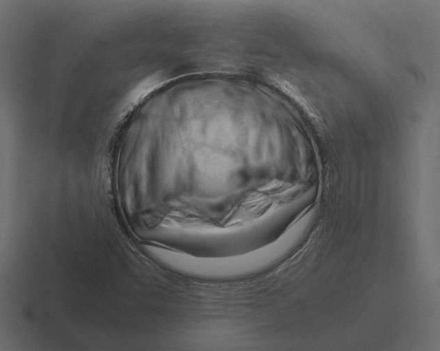 X0000116271455200912291324