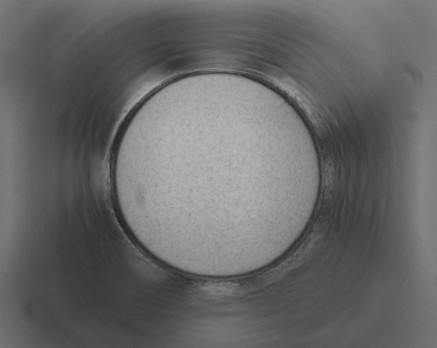 X0000116271466200912291324
