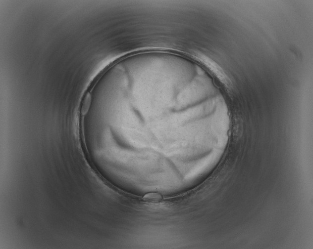 X0000116271468200912291324