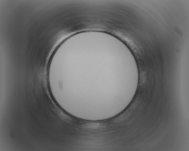 X0000116271470200912291324