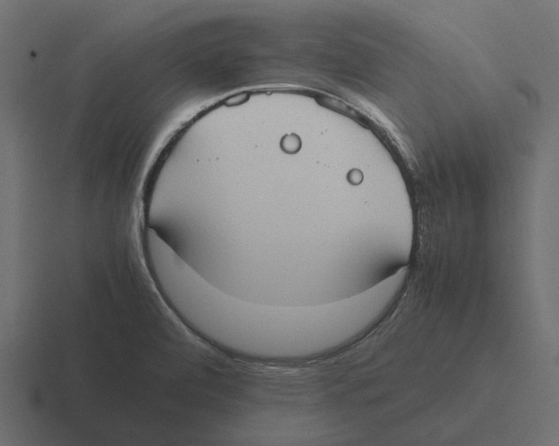 X0000116271472200912291324