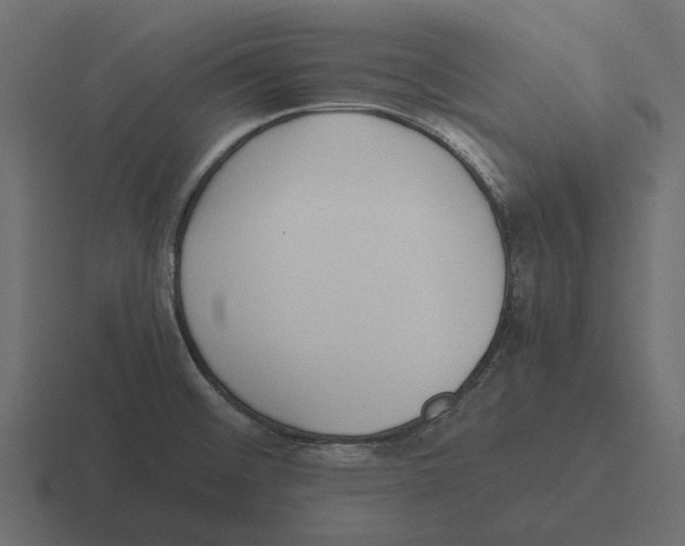 X0000116271476200912291324