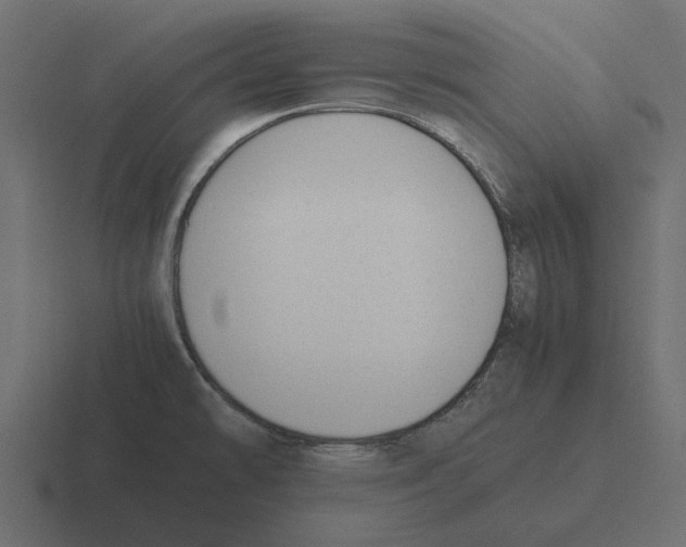 X0000116271478200912291324