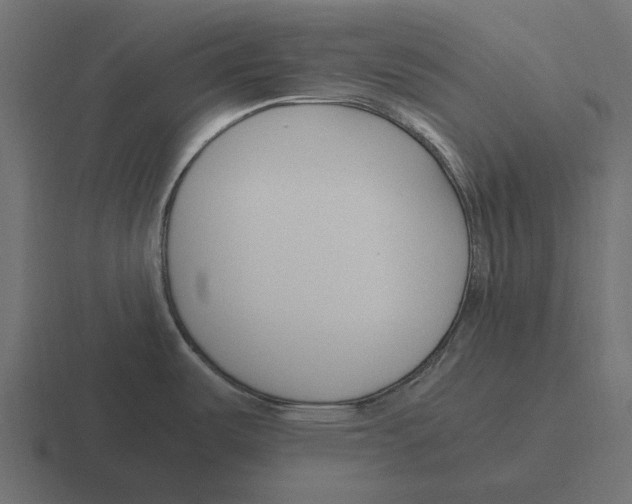 X0000116271487200912291323