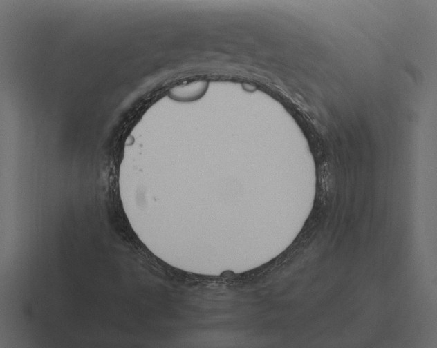 X0000116271495200912291323