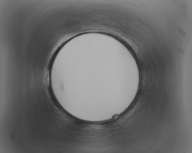 X0000116271509200912291323