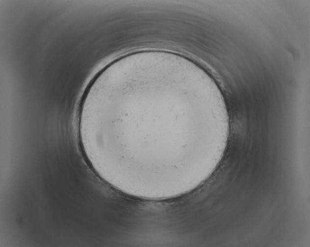 X0000116271514200912291323