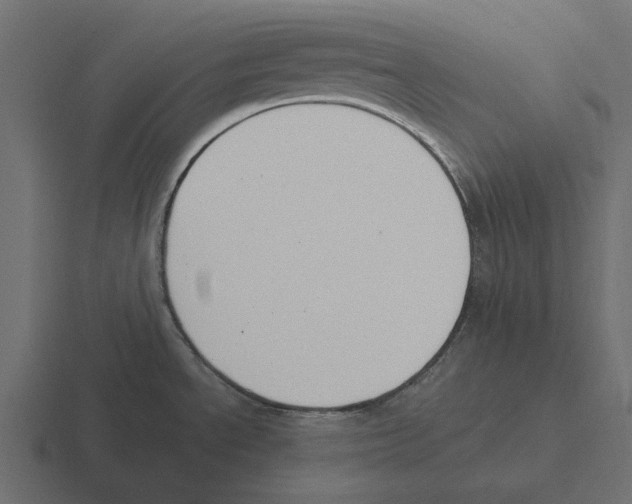 X0000116271534200912291323