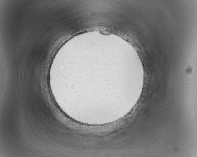 X0000116270001201001111024