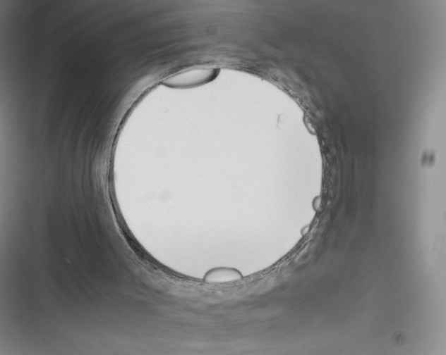 X0000116270003201001111024