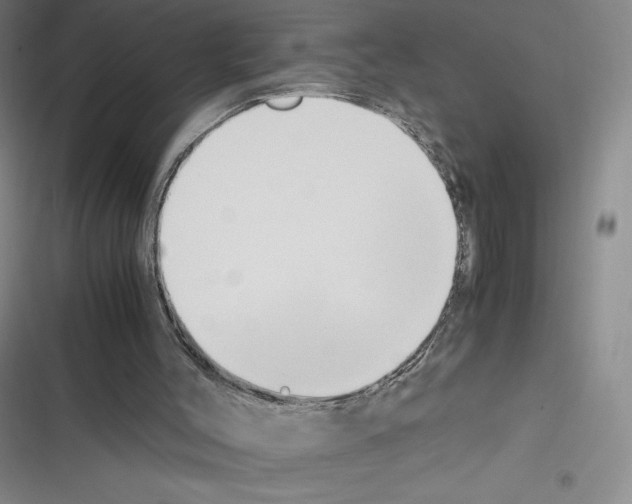 X0000116270004201001111024