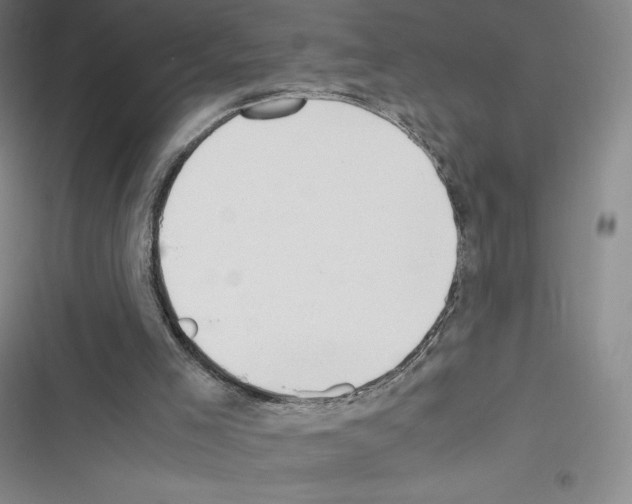 X0000116270005201001111024