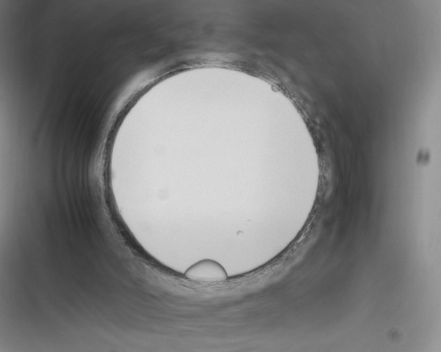 X0000116270006201001111024