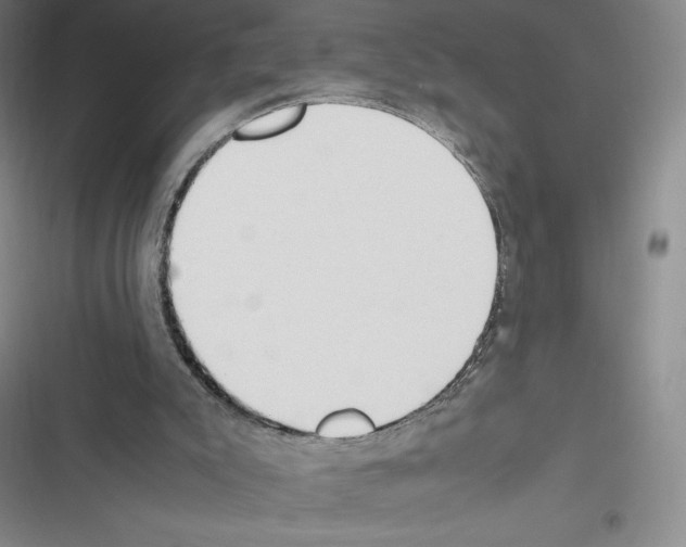 X0000116270007201001111024
