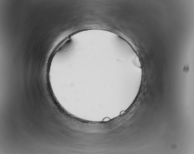 X0000116270008201001111024