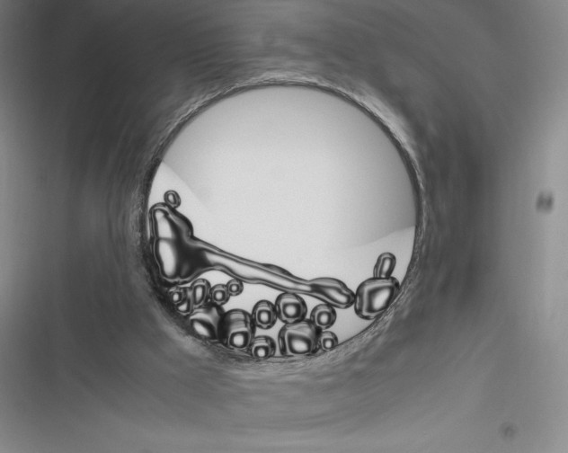 X0000116270009201001111024