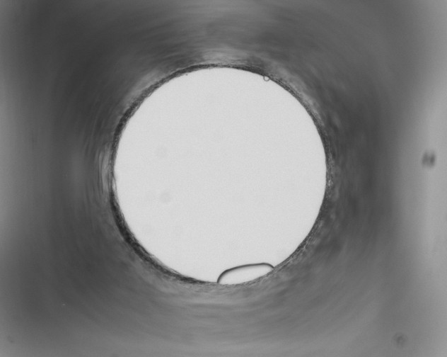X0000116270011201001111024