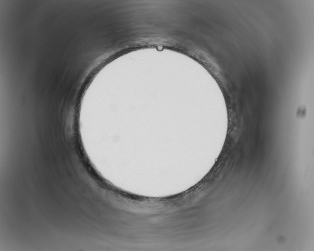 X0000116270012201001111024