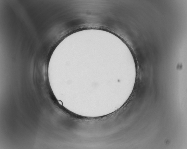 X0000116270013201001111024