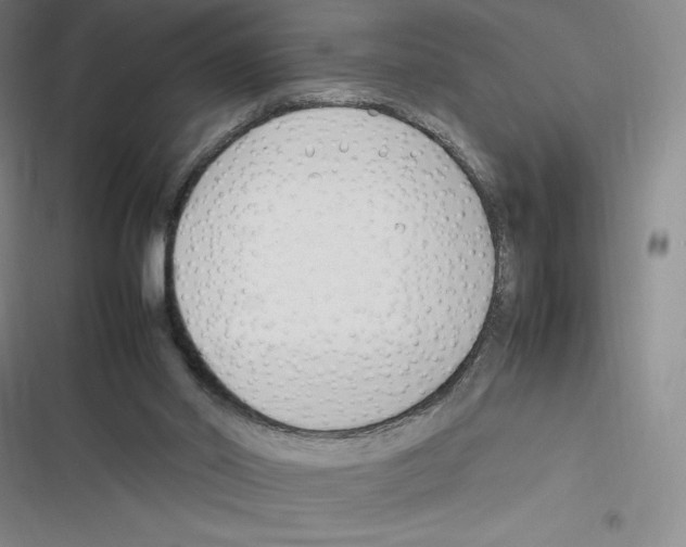X0000116270014201001111024