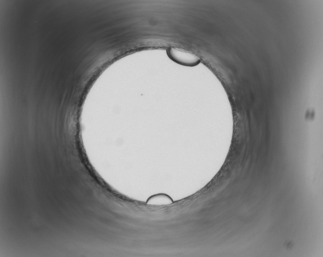 X0000116270015201001111024