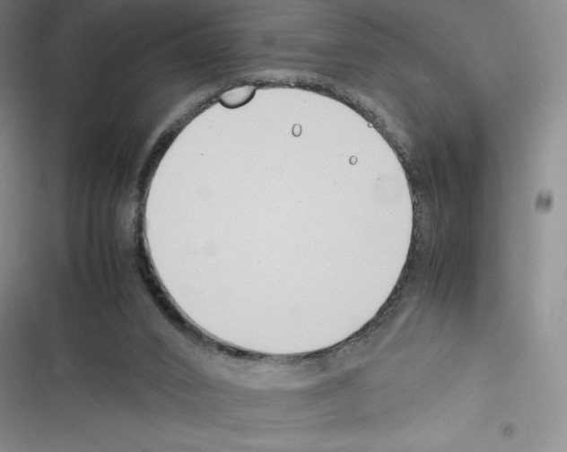 X0000116270016201001111024