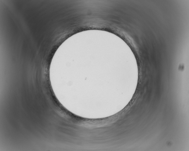 X0000116270017201001111024