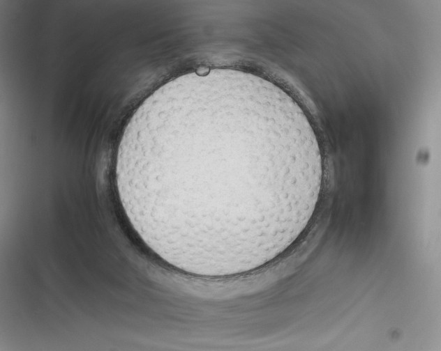 X0000116270018201001111024