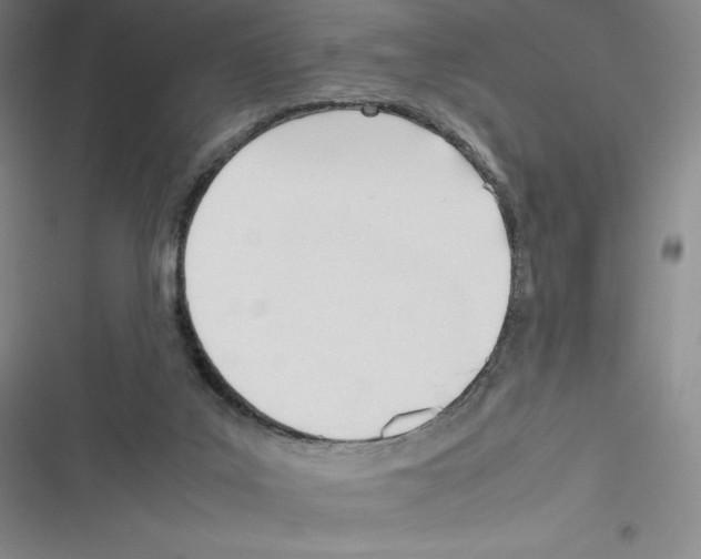 X0000116270019201001111024