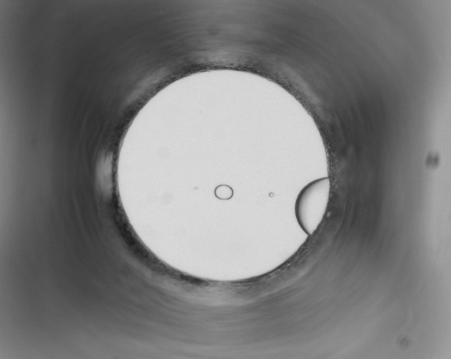 X0000116270020201001111024