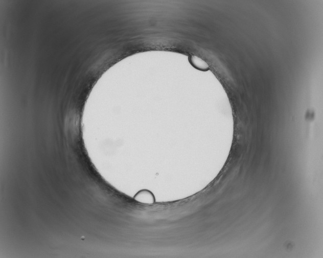 X0000116270021201001111024