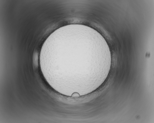 X0000116270022201001111024