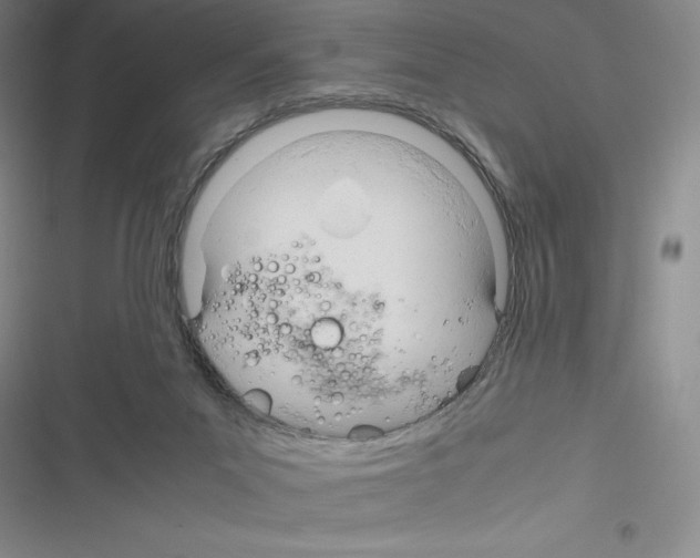 X0000116270023201001111024