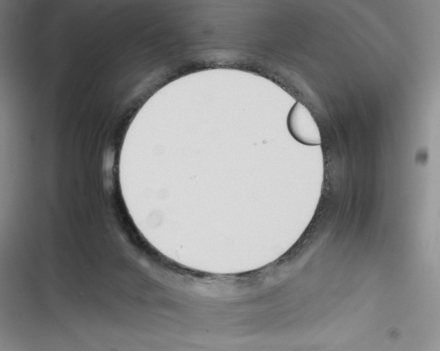 X0000116270024201001111024