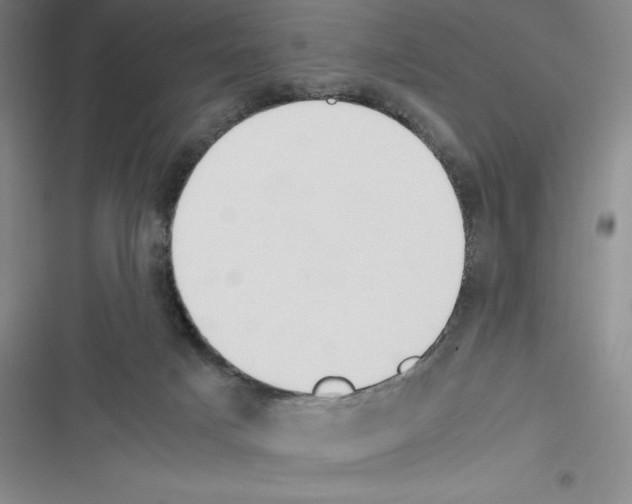 X0000116270025201001111024