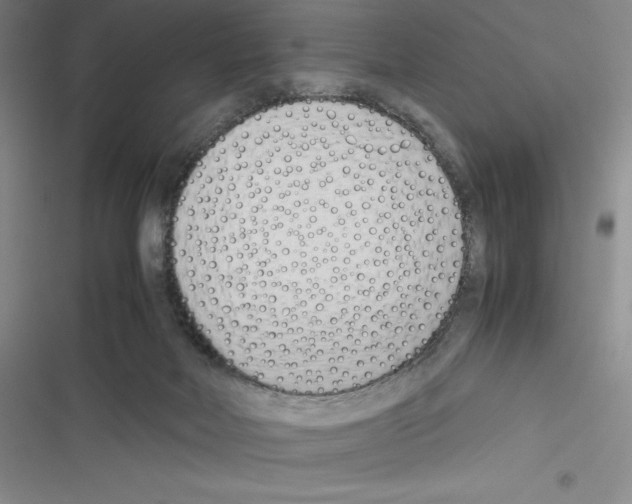 X0000116270026201001111024