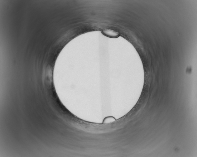 X0000116270027201001111024
