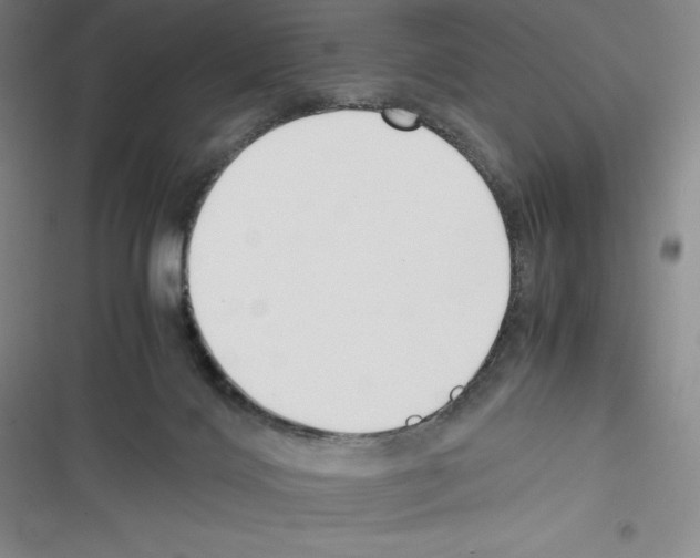 X0000116270028201001111024