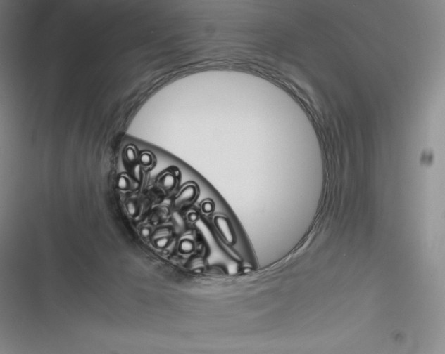 X0000116270029201001111024