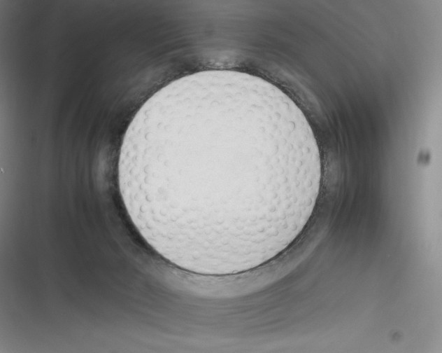 X0000116270030201001111024