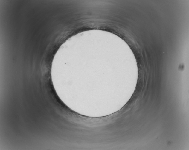 X0000116270031201001111024