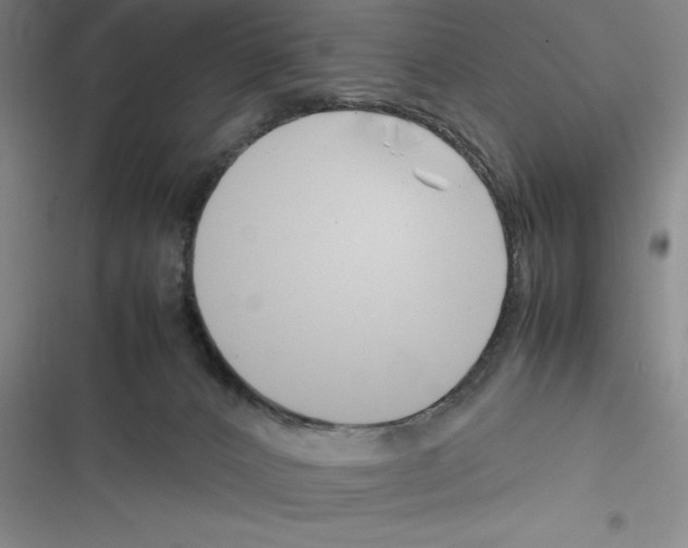 X0000116270032201001111024