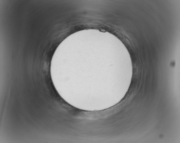 X0000116270033201001111024